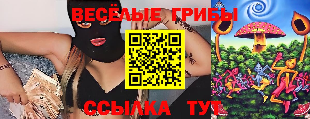 где можно купить наркотик  Галлюциногенные грибы мицелий  Вход с VPN  Галлюциногенные грибы MAGIC MUSHROOMS  Изобильный 
